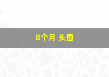 8个月 头围